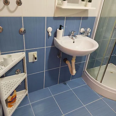 Vrnjacki شقة Vrnjačka Banja